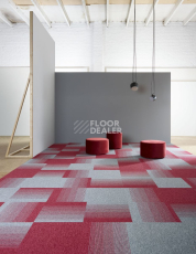 Bloq Connexion Connexion 406 фото 3 | FLOORDEALER